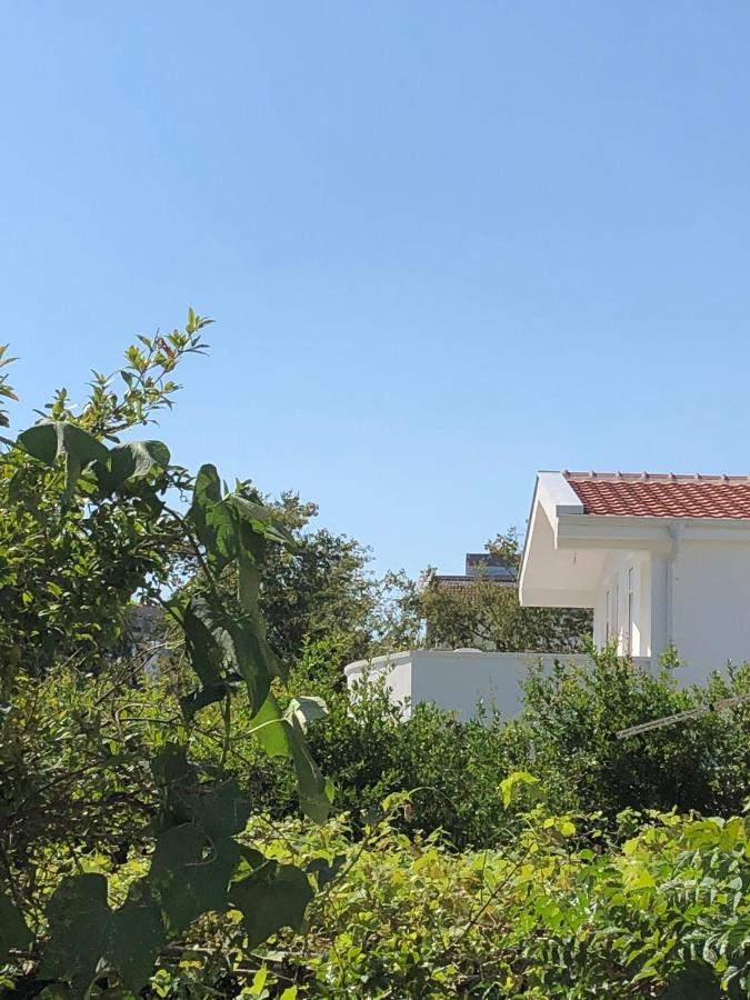 Villa Dafina دونجي ستوج المظهر الخارجي الصورة